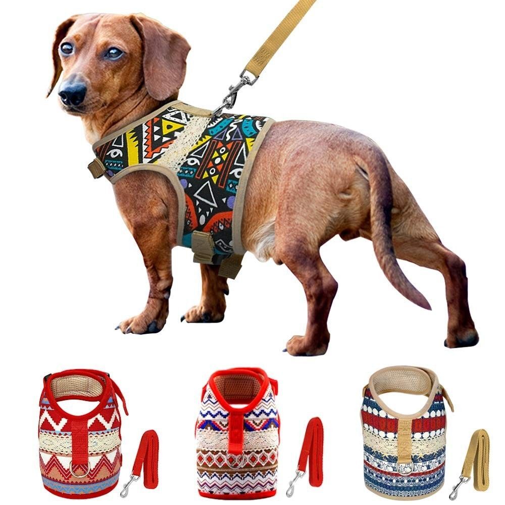 World Collection Dog Harness for Small Breeds (Extra Large, Pueblo)
